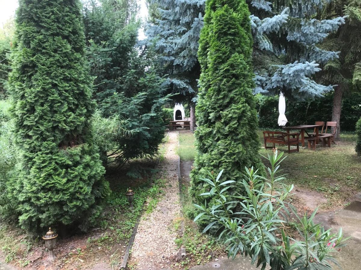 Platanus Vendeghaz Zamardi Bed & Breakfast Exterior photo